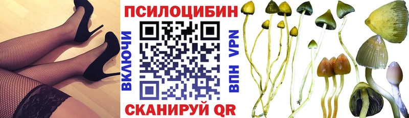 Галлюциногенные грибы мицелий  Купить закладки  Всеволожск 